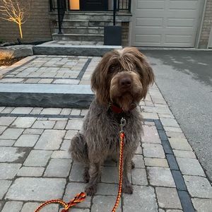 Meet your Posher, Marcy